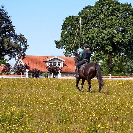 Mollegade 1 Holiday House Nordborg Zewnętrze zdjęcie