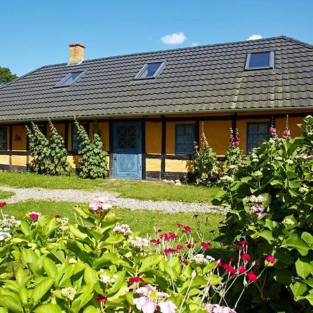 Mollegade 1 Holiday House Nordborg Zewnętrze zdjęcie