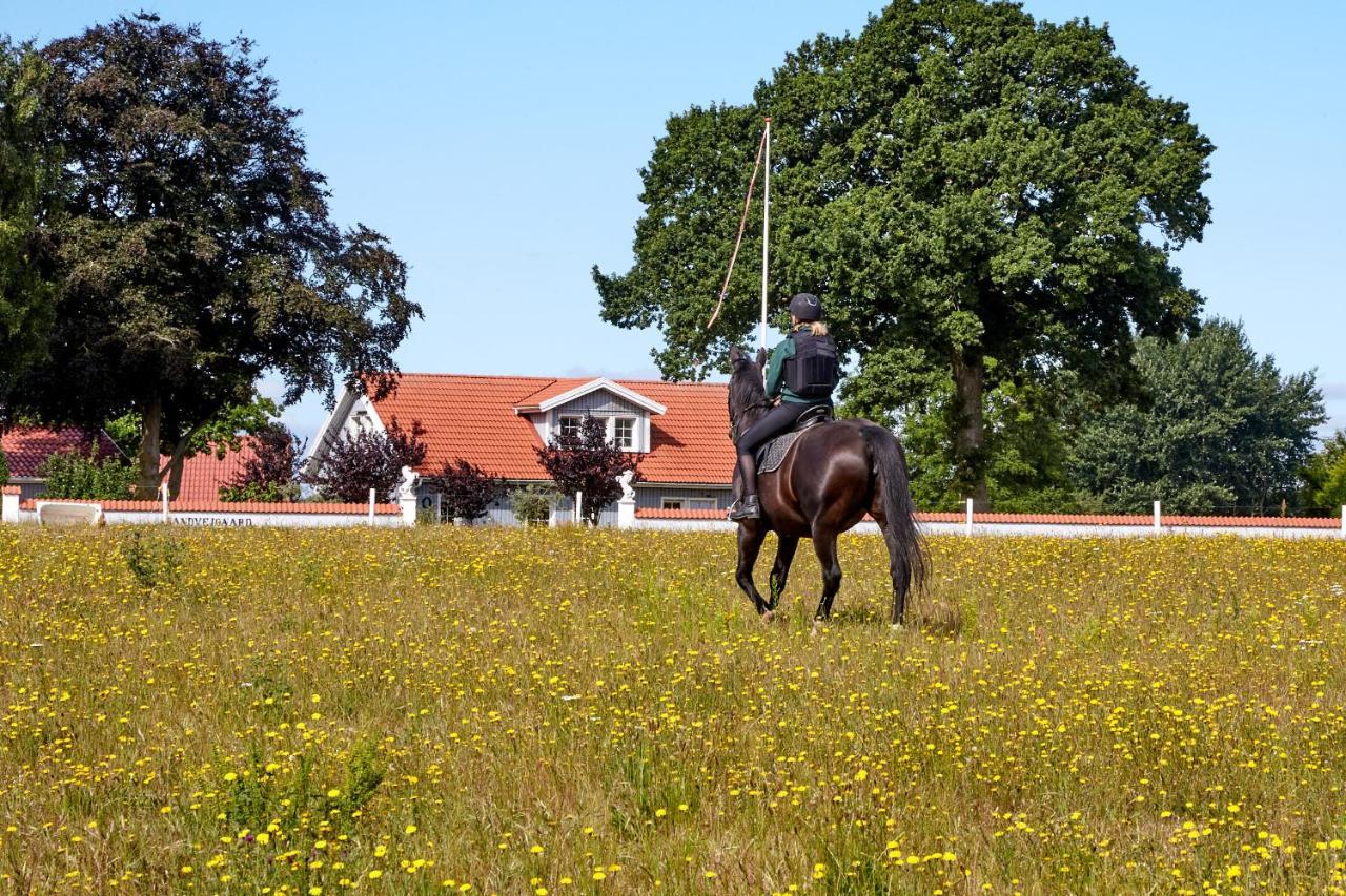 Mollegade 1 Holiday House Nordborg Zewnętrze zdjęcie